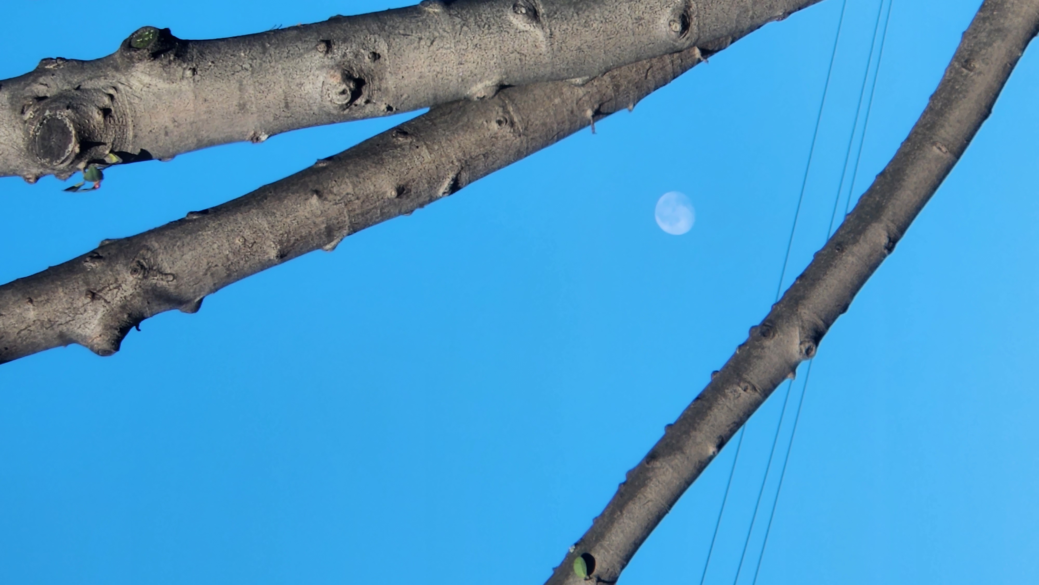 Fotografía de naturaleza 1